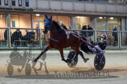 Dateiname=20251012_r11_054_R11_0174.jpg
Dateigröße=294KB
Abmessungen: 1000x667
hinzugefügt am: 15. Oktober 2025 20251012_r11_054_R11_0174.jpg