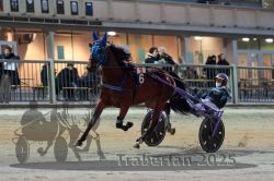 Dateiname=20251012_r11_055_R11_0175.jpg
Dateigröße=293KB
Abmessungen: 1000x667
hinzugefügt am: 15. Oktober 2025 20251012_r11_055_R11_0175.jpg