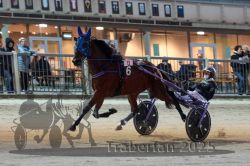 Dateiname=20251012_r11_056_R11_0178.jpg
Dateigröße=296KB
Abmessungen: 1000x667
hinzugefügt am: 15. Oktober 2025 20251012_r11_056_R11_0178.jpg