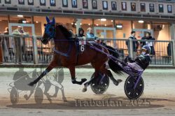 Dateiname=20251012_r11_057_R11_0181.jpg
Dateigröße=307KB
Abmessungen: 1000x667
hinzugefügt am: 15. Oktober 2025 20251012_r11_057_R11_0181.jpg