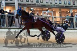 Dateiname=20251012_r11_058_R11_0184.jpg
Dateigröße=287KB
Abmessungen: 1000x667
hinzugefügt am: 15. Oktober 2025 20251012_r11_058_R11_0184.jpg