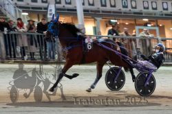 Dateiname=20251012_r11_059_R11_0185.jpg
Dateigröße=281KB
Abmessungen: 1000x667
hinzugefügt am: 15. Oktober 2025 20251012_r11_059_R11_0185.jpg