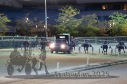 Dateiname=20251012_r11_062_R11_0203.jpg
Dateigröße=271KB
Abmessungen: 1000x667
hinzugefügt am: 15. Oktober 2025 20251012_r11_062_R11_0203.jpg