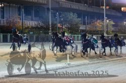 Dateiname=20251012_r11_063_R11_0209.jpg
Dateigröße=312KB
Abmessungen: 1000x667
hinzugefügt am: 15. Oktober 2025 20251012_r11_063_R11_0209.jpg