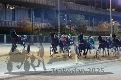 Dateiname=20251012_r11_064_R11_0212.jpg
Dateigröße=303KB
Abmessungen: 1000x667
hinzugefügt am: 15. Oktober 2025 20251012_r11_064_R11_0212.jpg