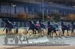 Dateiname=20251012_r11_065_R11_0215.jpg
Dateigröße=297KB
Abmessungen: 1000x667
hinzugefügt am: 15. Oktober 2025 20251012_r11_065_R11_0215.jpg