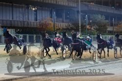 Dateiname=20251012_r11_066_R11_0218.jpg
Dateigröße=304KB
Abmessungen: 1000x667
hinzugefügt am: 15. Oktober 2025 20251012_r11_066_R11_0218.jpg