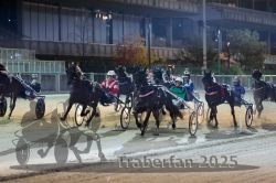 Dateiname=20251012_r11_067_R11_0222.jpg
Dateigröße=310KB
Abmessungen: 1000x667
hinzugefügt am: 15. Oktober 2025 20251012_r11_067_R11_0222.jpg