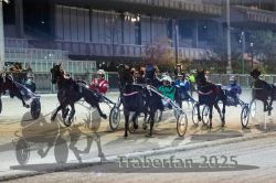 Dateiname=20251012_r11_068_R11_0225.jpg
Dateigröße=321KB
Abmessungen: 1000x667
hinzugefügt am: 15. Oktober 2025 20251012_r11_068_R11_0225.jpg