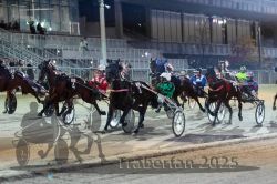 Dateiname=20251012_r11_071_R11_0231.jpg
Dateigröße=324KB
Abmessungen: 1000x667
hinzugefügt am: 15. Oktober 2025 20251012_r11_071_R11_0231.jpg