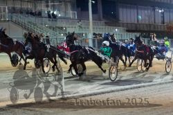 Dateiname=20251012_r11_072_R11_0233.jpg
Dateigröße=322KB
Abmessungen: 1000x667
hinzugefügt am: 15. Oktober 2025 20251012_r11_072_R11_0233.jpg