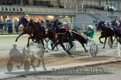 Dateiname=20251012_r11_074_R11_0239.jpg
Dateigröße=306KB
Abmessungen: 1000x667
hinzugefügt am: 15. Oktober 2025 20251012_r11_074_R11_0239.jpg