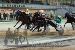 Dateiname=20251012_r11_075_R11_0240.jpg
Dateigröße=309KB
Abmessungen: 1000x667
hinzugefügt am: 15. Oktober 2025 20251012_r11_075_R11_0240.jpg