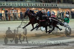 Dateiname=20251012_r11_076_R11_0243.jpg
Dateigröße=304KB
Abmessungen: 1000x667
hinzugefügt am: 15. Oktober 2025 20251012_r11_076_R11_0243.jpg