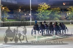 Dateiname=20251012_r11_077_R11_0246.jpg
Dateigröße=275KB
Abmessungen: 1000x667
hinzugefügt am: 15. Oktober 2025 20251012_r11_077_R11_0246.jpg