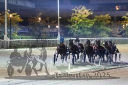 Dateiname=20251012_r11_078_R11_0249.jpg
Dateigröße=282KB
Abmessungen: 1000x667
hinzugefügt am: 15. Oktober 2025 20251012_r11_078_R11_0249.jpg