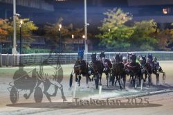 Dateiname=20251012_r11_079_R11_0252.jpg
Dateigröße=272KB
Abmessungen: 1000x667
hinzugefügt am: 15. Oktober 2025 20251012_r11_079_R11_0252.jpg