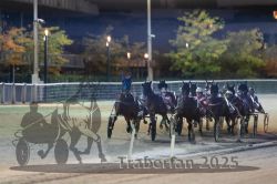 Dateiname=20251012_r11_080_R11_0255.jpg
Dateigröße=261KB
Abmessungen: 1000x667
hinzugefügt am: 15. Oktober 2025 20251012_r11_080_R11_0255.jpg