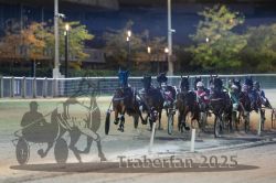 Dateiname=20251012_r11_081_R11_0259.jpg
Dateigröße=270KB
Abmessungen: 1000x667
hinzugefügt am: 15. Oktober 2025 20251012_r11_081_R11_0259.jpg