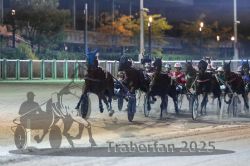 Dateiname=20251012_r11_082_R11_0261.jpg
Dateigröße=276KB
Abmessungen: 1000x667
hinzugefügt am: 15. Oktober 2025 20251012_r11_082_R11_0261.jpg