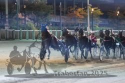 Dateiname=20251012_r11_083_R11_0265.jpg
Dateigröße=274KB
Abmessungen: 1000x667
hinzugefügt am: 15. Oktober 2025 20251012_r11_083_R11_0265.jpg