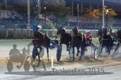 Dateiname=20251012_r11_084_R11_0270.jpg
Dateigröße=294KB
Abmessungen: 1000x667
hinzugefügt am: 15. Oktober 2025 20251012_r11_084_R11_0270.jpg