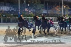 Dateiname=20251012_r11_085_R11_0271.jpg
Dateigröße=296KB
Abmessungen: 1000x667
hinzugefügt am: 15. Oktober 2025 20251012_r11_085_R11_0271.jpg