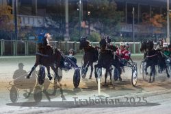 Dateiname=20251012_r11_086_R11_0274.jpg
Dateigröße=296KB
Abmessungen: 1000x667
hinzugefügt am: 15. Oktober 2025 20251012_r11_086_R11_0274.jpg