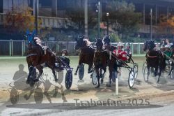 Dateiname=20251012_r11_087_R11_0277.jpg
Dateigröße=305KB
Abmessungen: 1000x667
hinzugefügt am: 15. Oktober 2025 20251012_r11_087_R11_0277.jpg