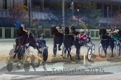 Dateiname=20251012_r11_088_R11_0278.jpg
Dateigröße=298KB
Abmessungen: 1000x667
hinzugefügt am: 15. Oktober 2025 20251012_r11_088_R11_0278.jpg