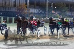 Dateiname=20251012_r11_089_R11_0285.jpg
Dateigröße=309KB
Abmessungen: 1000x667
hinzugefügt am: 15. Oktober 2025 20251012_r11_089_R11_0285.jpg