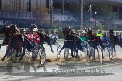 Dateiname=20251012_r11_091_R11_0289.jpg
Dateigröße=314KB
Abmessungen: 1000x667
hinzugefügt am: 15. Oktober 2025 20251012_r11_091_R11_0289.jpg