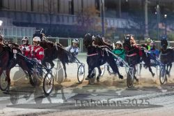 Dateiname=20251012_r11_092_R11_0293.jpg
Dateigröße=309KB
Abmessungen: 1000x667
hinzugefügt am: 15. Oktober 2025 20251012_r11_092_R11_0293.jpg