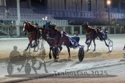 Dateiname=20251012_r11_113_R11_0335.jpg
Dateigröße=300KB
Abmessungen: 1000x667
hinzugefügt am: 15. Oktober 2025 20251012_r11_113_R11_0335.jpg