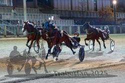 Dateiname=20251012_r11_114_R11_0336.jpg
Dateigröße=308KB
Abmessungen: 1000x667
hinzugefügt am: 15. Oktober 2025 20251012_r11_114_R11_0336.jpg