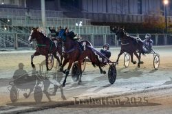 Dateiname=20251012_r11_115_R11_0337.jpg
Dateigröße=308KB
Abmessungen: 1000x667
hinzugefügt am: 15. Oktober 2025 20251012_r11_115_R11_0337.jpg