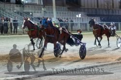 Dateiname=20251012_r11_117_R11_0340.jpg
Dateigröße=302KB
Abmessungen: 1000x667
hinzugefügt am: 15. Oktober 2025 20251012_r11_117_R11_0340.jpg