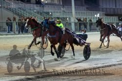 Dateiname=20251012_r11_118_R11_0342.jpg
Dateigröße=310KB
Abmessungen: 1000x667
hinzugefügt am: 15. Oktober 2025 20251012_r11_118_R11_0342.jpg