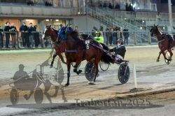 Dateiname=20251012_r11_121_R11_0348.jpg
Dateigröße=298KB
Abmessungen: 1000x667
hinzugefügt am: 15. Oktober 2025 20251012_r11_121_R11_0348.jpg