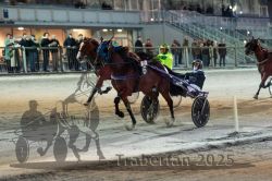 Dateiname=20251012_r11_122_R11_0349.jpg
Dateigröße=301KB
Abmessungen: 1000x667
hinzugefügt am: 15. Oktober 2025 20251012_r11_122_R11_0349.jpg