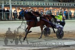 Dateiname=20251012_r11_128_R11_0359.jpg
Dateigröße=310KB
Abmessungen: 1000x667
hinzugefügt am: 15. Oktober 2025 20251012_r11_128_R11_0359.jpg