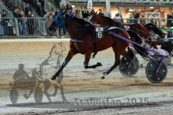 Dateiname=20251012_r11_130_R11_0362.jpg
Dateigröße=308KB
Abmessungen: 1000x667
hinzugefügt am: 15. Oktober 2025 20251012_r11_130_R11_0362.jpg