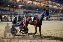 Dateiname=20251012_r11_131_CR5_0690.jpg
Dateigröße=372KB
Abmessungen: 1000x667
hinzugefügt am: 15. Oktober 2025 20251012_r11_131_CR5_0690.jpg