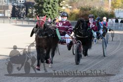 Dateiname=20251026_mt_003_MTT_0010.jpg
Dateigröße=333KB
Abmessungen: 1000x667
hinzugefügt am: 27. Oktober 2025 20251026_mt_003_MTT_0010.jpg