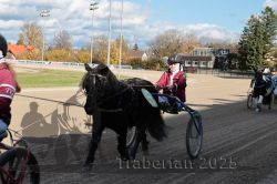 Dateiname=20251026_mt_008_MTT_0029.jpg
Dateigröße=326KB
Abmessungen: 1000x667
hinzugefügt am: 27. Oktober 2025 20251026_mt_008_MTT_0029.jpg