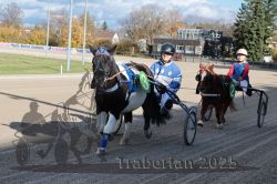 Dateiname=20251026_mt_012_MTT_0038.jpg
Dateigröße=344KB
Abmessungen: 1000x667
hinzugefügt am: 27. Oktober 2025 20251026_mt_012_MTT_0038.jpg