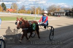 Dateiname=20251026_mt_016_MTT_0050.jpg
Dateigröße=311KB
Abmessungen: 1000x667
hinzugefügt am: 27. Oktober 2025 20251026_mt_016_MTT_0050.jpg