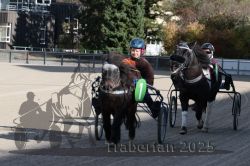 Dateiname=20251026_mt_019_MTT_0058.jpg
Dateigröße=307KB
Abmessungen: 1000x667
hinzugefügt am: 27. Oktober 2025 20251026_mt_019_MTT_0058.jpg