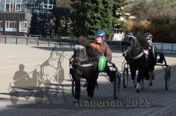 Dateiname=20251026_mt_020_MTT_0062.jpg
Dateigröße=319KB
Abmessungen: 1000x667
hinzugefügt am: 27. Oktober 2025 20251026_mt_020_MTT_0062.jpg