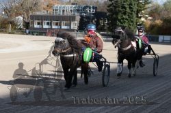 Dateiname=20251026_mt_023_MTT_0073.jpg
Dateigröße=312KB
Abmessungen: 1000x667
hinzugefügt am: 27. Oktober 2025 20251026_mt_023_MTT_0073.jpg